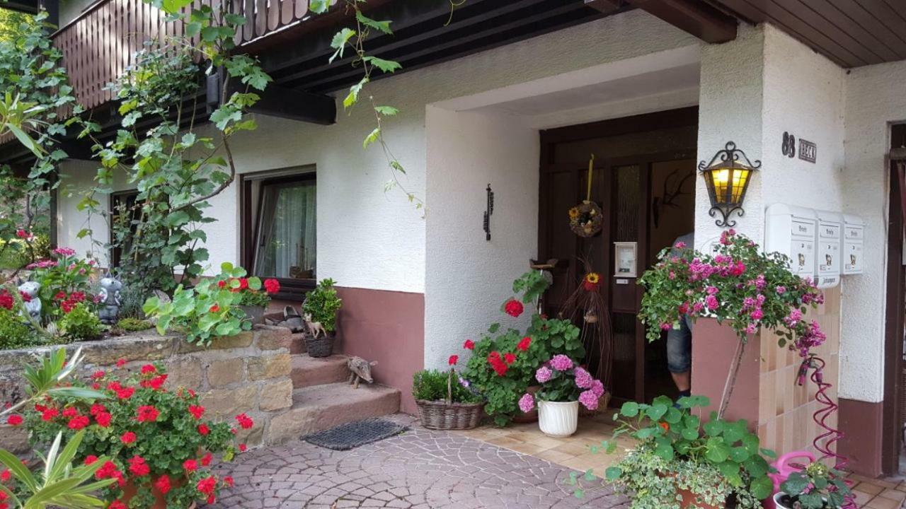 Gaestehaus Gerhardt Schweigen-Rechtenbach Εξωτερικό φωτογραφία