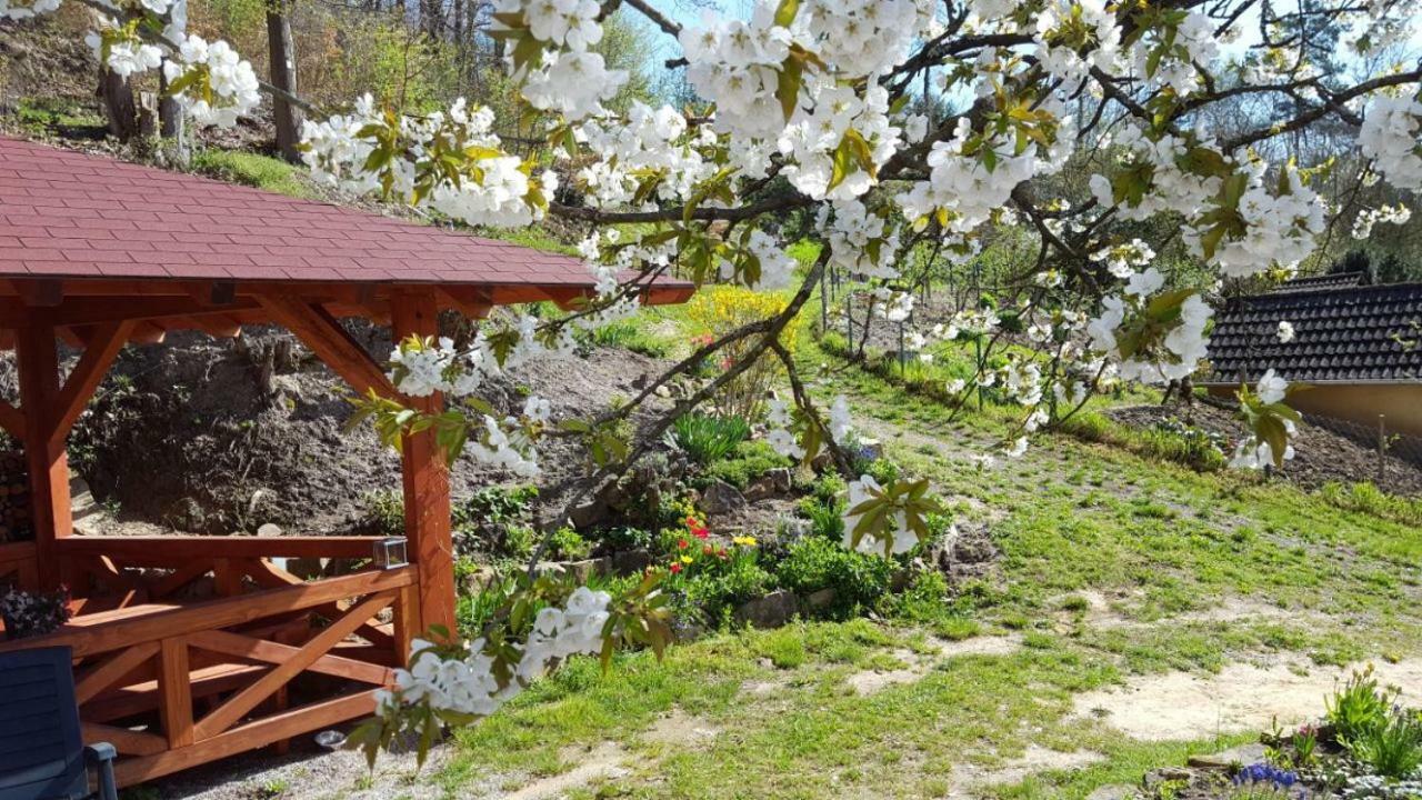 Gaestehaus Gerhardt Schweigen-Rechtenbach Εξωτερικό φωτογραφία
